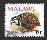 Stamps : Africa : Malawi :  237 - Codorniz Arlequín