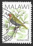 Stamps Malawi -  525 - Estrilda Verde