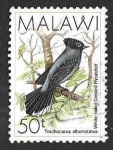 Stamps Malawi -  528 - Elminia Coliblanca