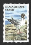 Stamps Mozambique -  1574 - Gaviota de las Galápagos
