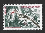 Stamps : Africa : Niger :  184 - Toco Piquirrojo