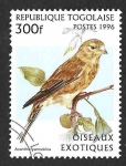 Stamps Togo -  1786 - Pardillo Piquigualdo