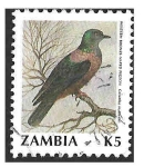 Stamps Africa - Zambia -  536 - Paloma Nuquibronceada