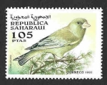 Stamps Spain -  (C) Verderón Común (REP. SAHARAUI)