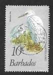 Sellos de America - Barbados -  499 - Garcilla Bueyera
