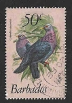 Stamps : America : Barbados :  506 - Paloma Isleña