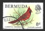Sellos del Mundo : America : Bermudas : 367 - Cardenal Norteño