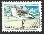 Sellos de America - Brasil -  2004 - Chorlito Gris