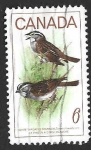 Stamps Canada -  496 - Chingolo Gorgiblanco