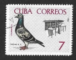 Stamps Cuba -  1134 - Paloma
