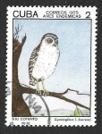 Stamps Cuba -  1983 - Sijú Cotunto