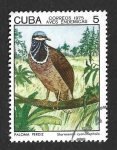 Stamps Cuba -  1985 - Paloma Perdiz Cubana