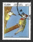 Sellos de America - Cuba -  2121 - Carpintero Verde