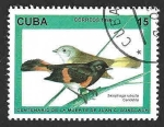 Sellos de America - Cuba -  3732 - Pavito Migratorio