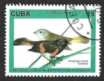 Stamps Cuba -  3732 - Pavito Migratorio