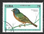 Stamps Cuba -  3734 - Azulillo Sietecolores