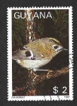 Stamps Guyana -  1865d - Reyezuelo Sencillo
