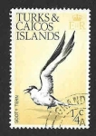 Sellos de America - Islas Turcas y Caicos -  265 - Charr?n Sombrio