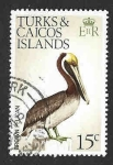 Sellos del Mundo : America : Islas_Turcas_y_Caicos : 274 - Pel?cano