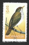 Sellos de America - Nicaragua -  1501 - Tordo Pico de Oro
