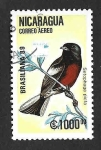 Stamps America - Nicaragua -  C1175 - Candelita Aliblanca