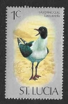 Stamps America - Saint Lucia -  387 - Gaviota Reidora Americana