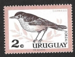 Stamps America - Uruguay -  695 - Zorzal