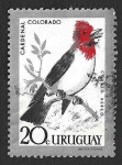 Sellos de America - Uruguay -  C247 - Cardenal Colorado