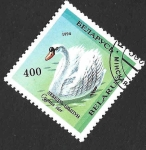 Stamps : Europe : Belarus :  88 - Cisne
