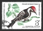 Stamps Russia -  4777 - Pico Menor