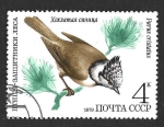 Stamps Russia -  4778 - Herrerillo Capuchino