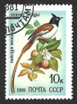 Stamps Russia -  4973 - Monarca Colilargo Asi?tico 