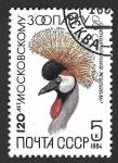 Stamps Russia -  5229 - Grulla Coronada