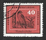 Stamps : Europe : Germany :  449 - Halc?n Peregrino DDR