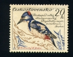 Sellos de Europa - Checoslovaquia -  Pajaro carpintero