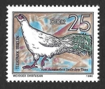 Stamps Germany -  2117 - Faisán Orejudo Blanco DDR