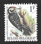 Stamps Belgium -  1217 - Pico Menor