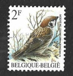 Stamps Belgium -  1218 - Gorrión Molinero