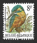 Stamps Belgium -  1227 - Martín Pescador Común