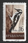 Stamps Bulgaria -  1052 - Pájaro Carpintero