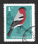 Stamps Bulgaria -  1395 - Camachuelo Común