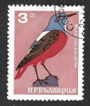 Stamps Bulgaria -  1397 - Roquero Rojo