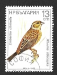 Stamps Bulgaria -  3282 - Escribano Cerillo