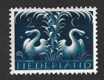 Sellos de Europa - Holanda -  247 - Cisnes
