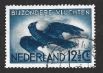 Sellos de Europa - Holanda -  C11 - Cuervo Grande