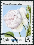 Stamps Cuba -  Flores