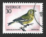 Stamps Sweden -  876 - Camachuelo Común