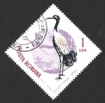 Stamps Romania -  1773 - Grulla Común