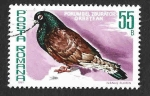 Stamps Romania -  3003 - Paloma Bravia