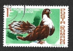Stamps Romania -  3004 - Paloma Granate de Craiova